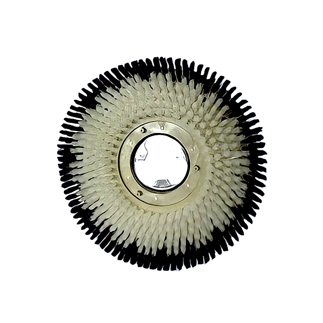 BRUSHE E BUTE LABOORY